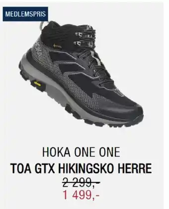 Sport 1 Toa Gtx Hikingsko Herre tilbud