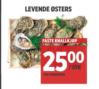 Meny Levende østers tilbud