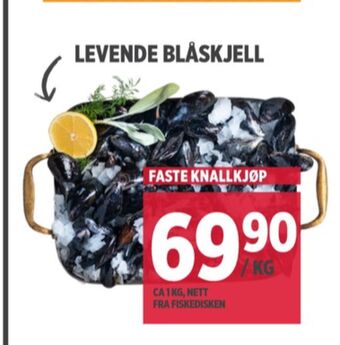 Meny Ukjent blåskjell tilbud