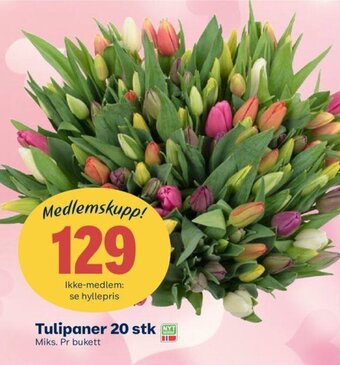 Coop Extra Tulipaner 20 stk tilbud