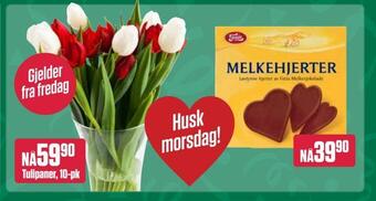Europris Tulipaner tilbud
