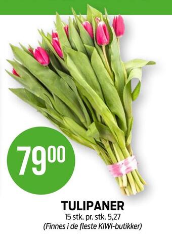 Kiwi Tulipaner tilbud