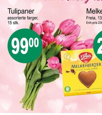 Joker Tulipaner tilbud