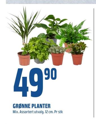 Coop Obs Grønne planter tilbud