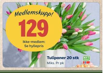 Coop Mega Tulipaner 20 stk tilbud