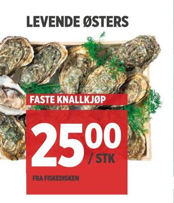Meny Levende østers tilbud