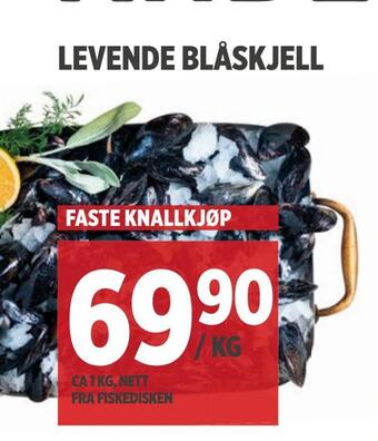Meny Levende blåskjell tilbud