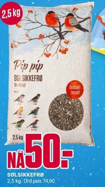 Europris Solsikkefrø tilbud