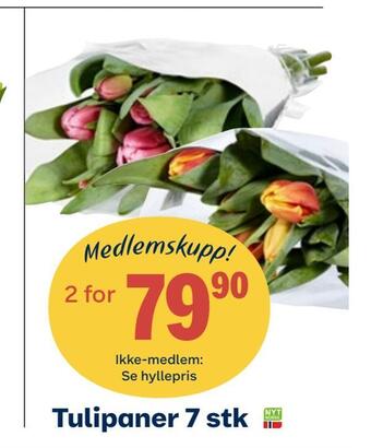 Coop Obs Tulipaner 7 stk tilbud