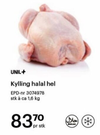 Storcash Kylling Halal Hel tilbud