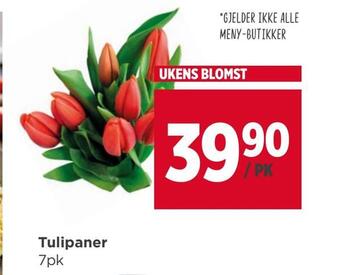 Meny Tulipaner tilbud