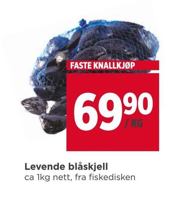 Meny Levende blåskjell tilbud