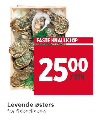 Meny Levende østers tilbud