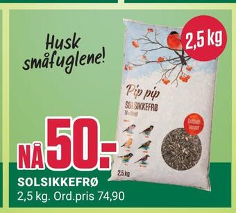Europris Solsikkefrø tilbud