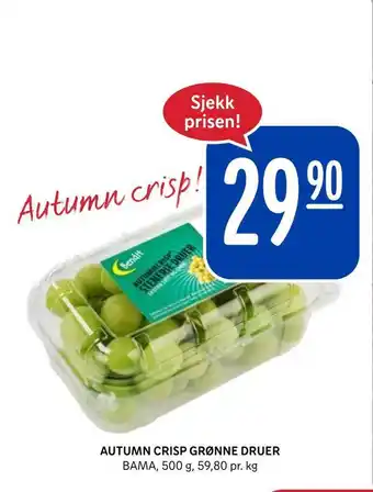 Rema 1000 Autumn crisp grønne druer tilbud