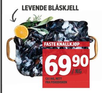 Meny Levende blåskjell tilbud