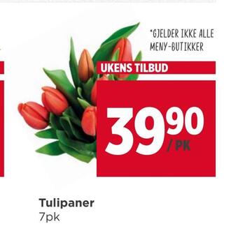 Meny Tulipaner tilbud