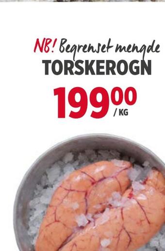 Torskerogn