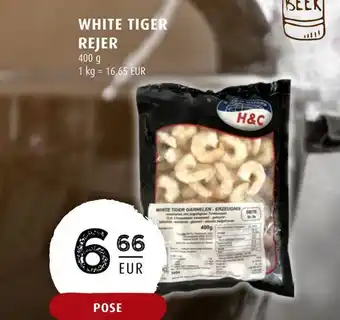 White tiger rejer