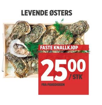 Meny Levende østers tilbud