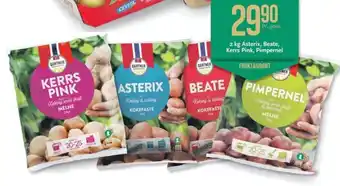 CC Mat 2kg Asterix, Beate, Kerrs Pink, Pimpernel tilbud