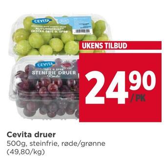 Meny Cevita druer tilbud