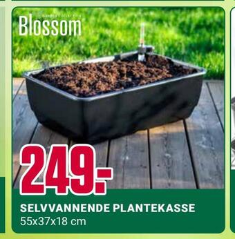 Europris Selvvannende plantekasse tilbud