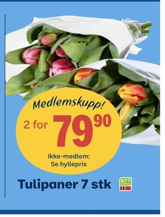 Coop Obs Tulipaner 7 stk tilbud