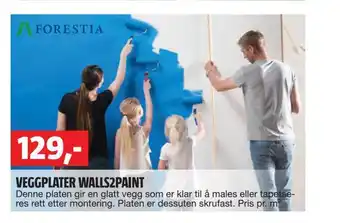 Bauhaus Veggplater walls2paint tilbud