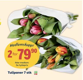 Coop Extra Tulipaner 7 stk tilbud