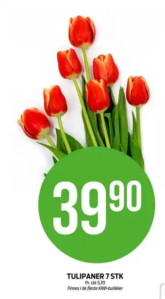 Kiwi Tulipaner 7 stk tilbud