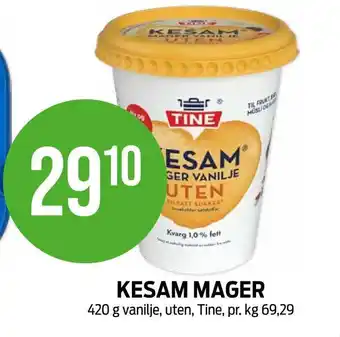 Kiwi Kesam mager tilbud