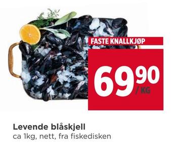 Meny Levende blåskjell tilbud