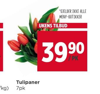 Meny Tulipaner tilbud