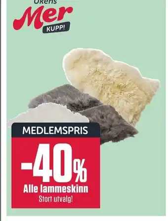 Europris Alle Lammeskinn tilbud