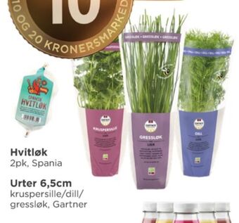 Meny Gartner krydderurt tilbud