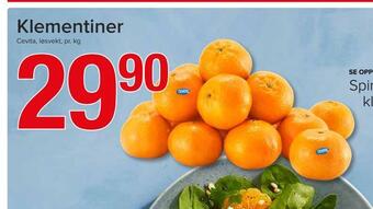 Spar Klementiner tilbud