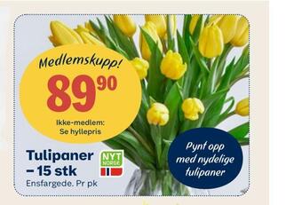 Coop Mega Tulipaner - 15 stk tilbud