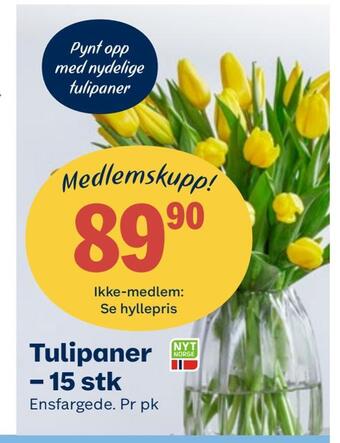 Coop Obs Tulipaner - 15 stk tilbud