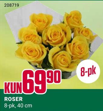 Europris Roser tilbud