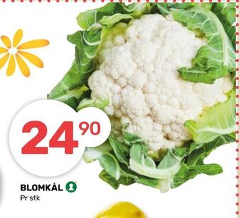 Matkroken Blomkål tilbud
