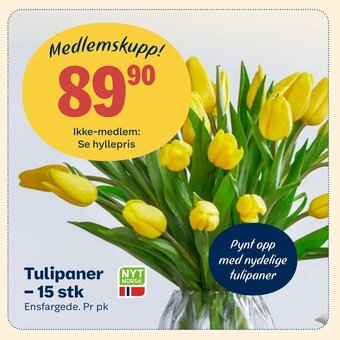 Coop Extra Tulipaner - 15 stk tilbud