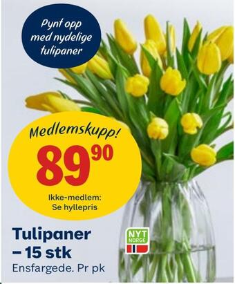 Coop Obs Tulipaner - 15 stk tilbud