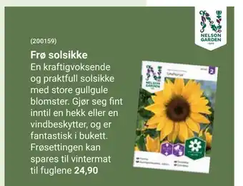 Europris Frø solsikke tilbud