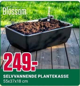 Europris Selvvannende plantekasse tilbud