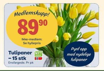 Coop Mega Tulipaner - 15 stk tilbud