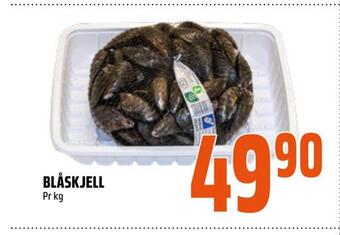 Blåskjell