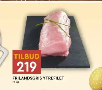 Coop Mega Frilandsgris ytrefilet tilbud