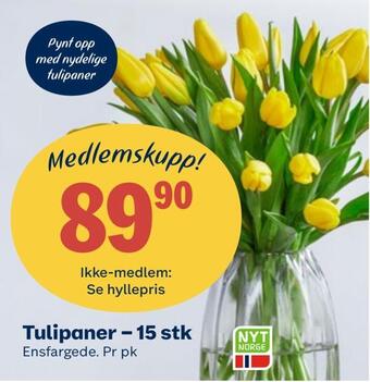 Coop Obs Tulipaner - 15 stk tilbud