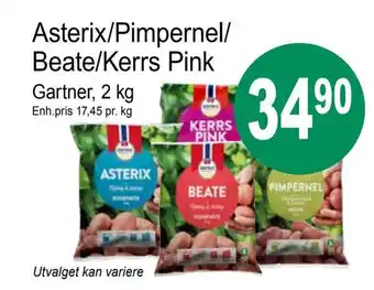Joker Asterix/pimpernel/ beate/kerrs pink tilbud